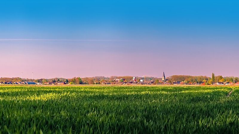 Sanft gewellte Felder im Haspengau